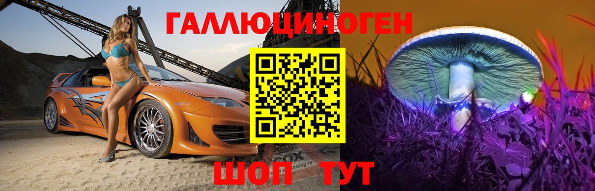 Псилоцибиновые грибы GOLDEN TEACHER Кольчугино